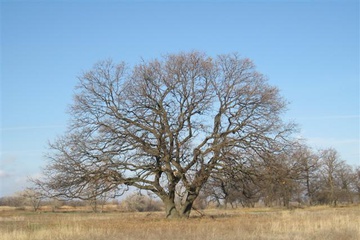izobrazhenie_020_small.jpg