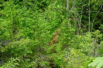 DSC08682.JPG