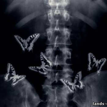 А что внутри?