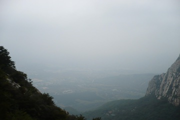 P1000183_1.jpg