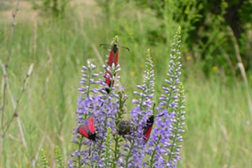 dscn3501.jpg