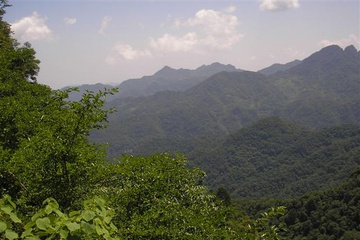 p8040014_small.jpg