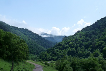 P1020555.JPG