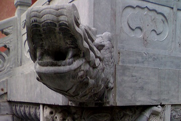 05092007449.jpg