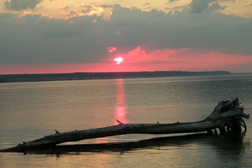 dscn2461.jpg