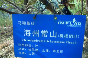 Наш поход в Ботанический сад для изучения трав