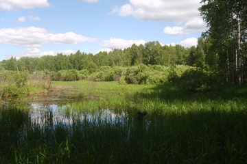 s6003348.jpg