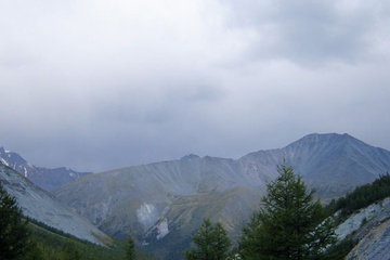 DSC00255.jpg