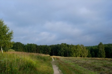 DSC09131.JPG