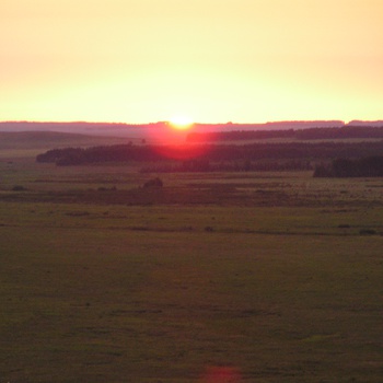 Фефект фикции