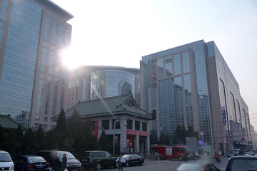 P1000881.jpg