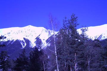PICT0013.JPG