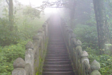26082007208.jpg