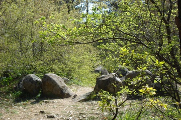 DSC06418.JPG
