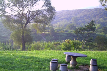 PICT0101.JPG