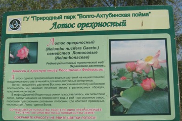 izobrazhenie_162_small.jpg