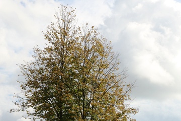 2F3T3597.JPG