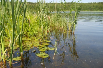 s6003353.jpg