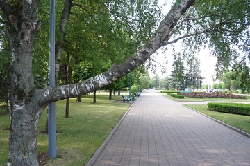 P1060155.jpg