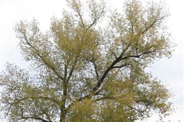 izobrazhenie_053_small.jpg