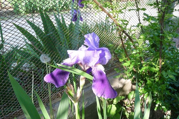 P1050958.JPG
