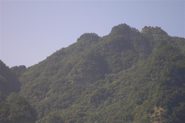 p8040006_small.jpg