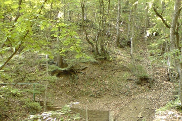 dsc00122.jpg