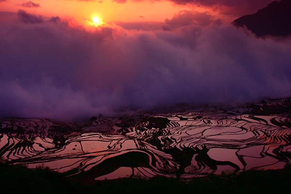 yunnan_rice_fields-6.jpg