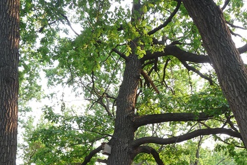p1060580.jpg