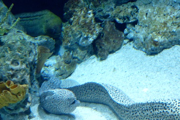 P1000452.JPG