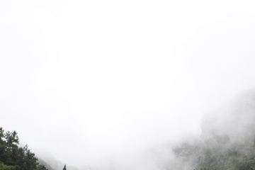 2F3T1671.JPG