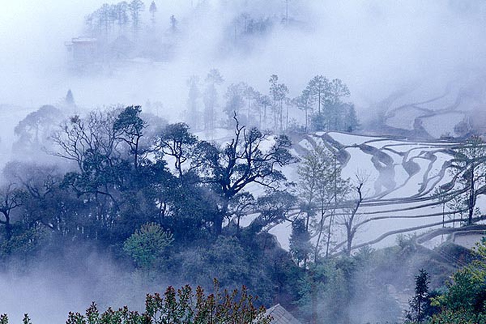 yunnan_rice_fields-9.jpg