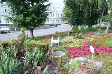 P1060128.jpg