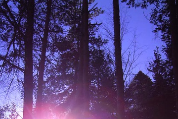PICT0240.JPG