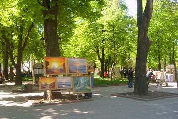 S6003027.JPG