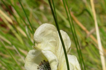 DSCN2102.jpg