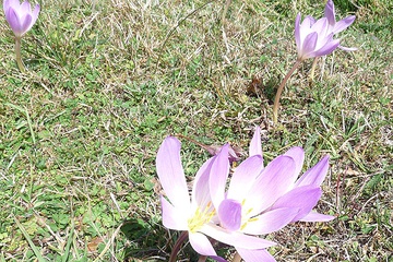 P1040788.JPG