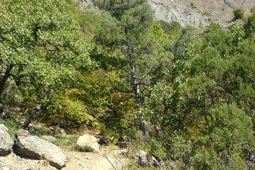 DSC03835.JPG