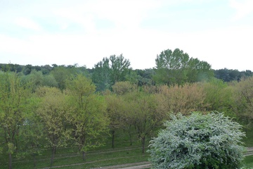 P1050878.jpg