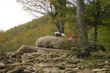 pa190112_small.jpg