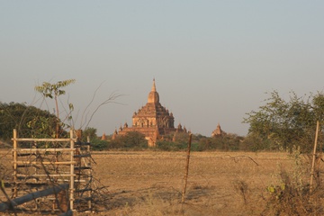 2F3T5411102.jpg