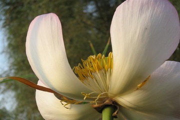 izobrazhenie_123_small.jpg