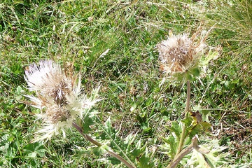 P1040615.JPG