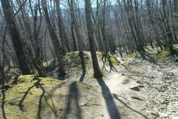 DSC02421.JPG