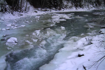 PICT0178.JPG