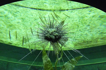 P1000400.JPG