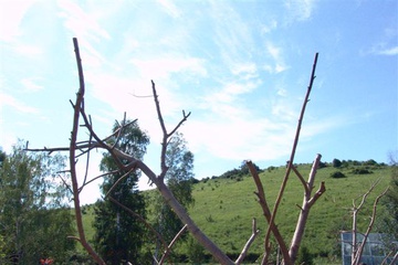 dsc00336_small.jpg