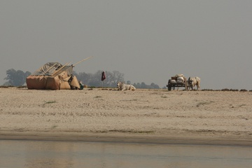 2f3t5126.jpg