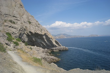 IMG_6317.jpg
