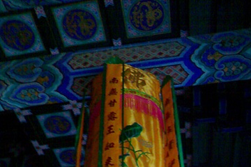 05092007393.jpg